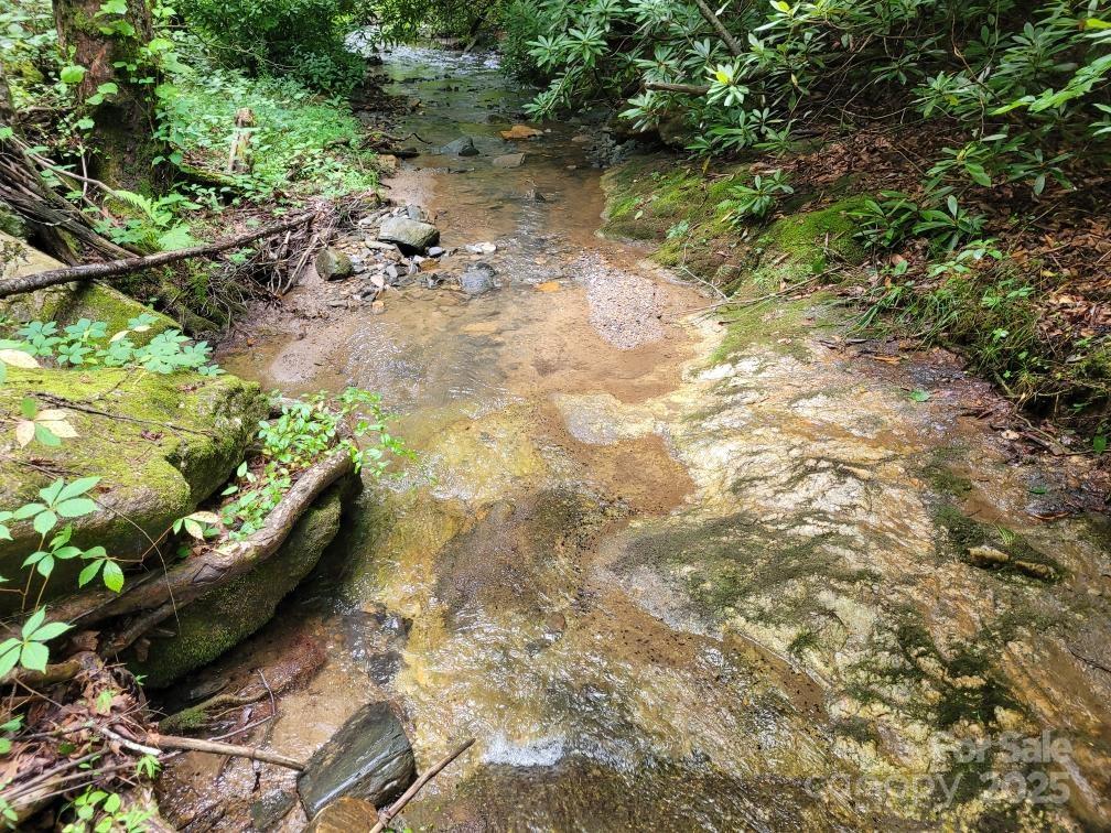 99999 Old Yellow Mountain Road Marion, NC 28752 - Photo 13 of 48