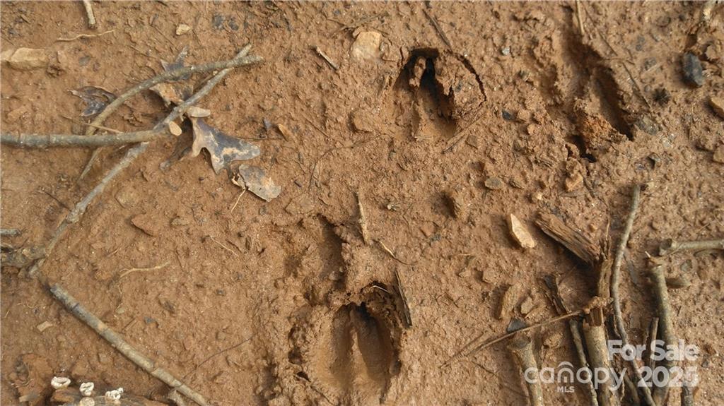 99999 Old Yellow Mountain Road Marion, NC 28752 - Photo 14 of 48