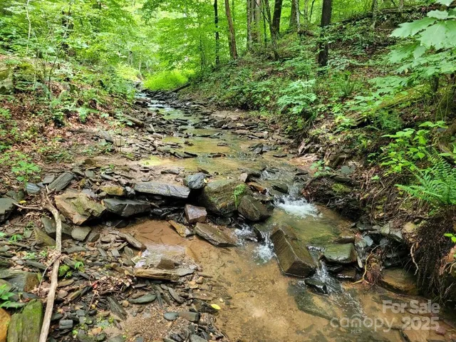 a view of a lush green forest