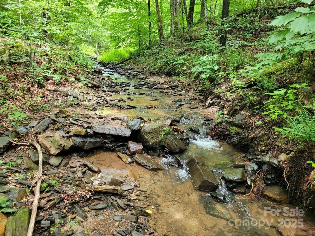 99999 Old Yellow Mountain Road Marion, NC 28752 - Photo 18 of 48 a view of lake