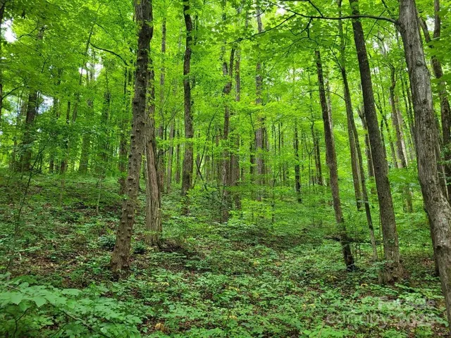 a view of outdoor space and green space