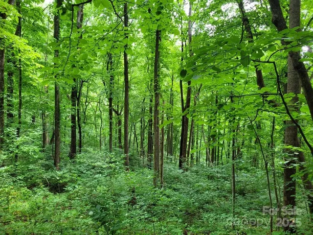 a view of a city with lush green forest