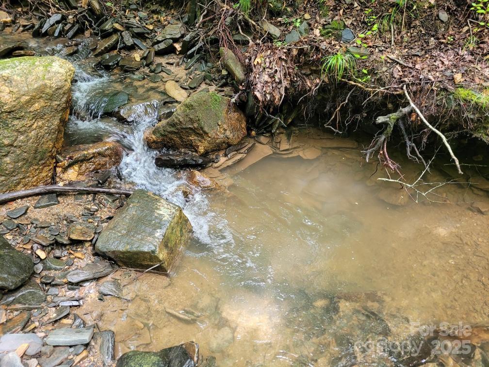 99999 Old Yellow Mountain Road Marion, NC 28752 - Photo 29 of 48