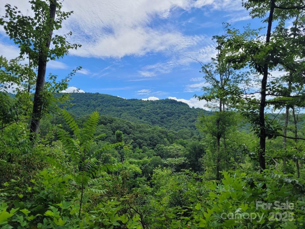 99999 Old Yellow Mountain Road Marion, NC 28752 - Photo 31 of 48 a view of a city with lush green forest