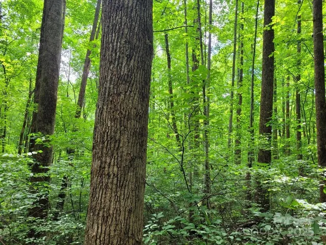 a view of outdoor space and trees