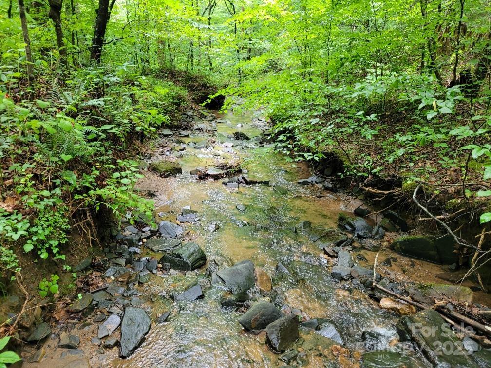 99999 Old Yellow Mountain Road Marion, NC 28752 - Photo 40 of 48 a view of a forest of a tree