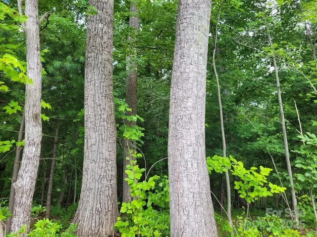 a black and white photo of a house