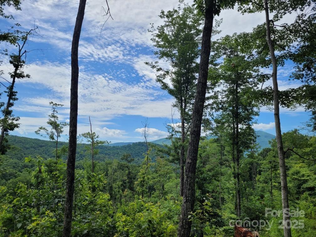 99999 Old Yellow Mountain Road Marion, NC 28752 - Photo 5 of 48 a view of a backyard of the house