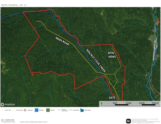 a view of a forest that has a tree