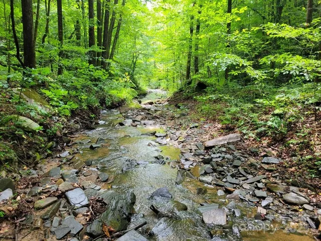 a view of outdoor space and garden