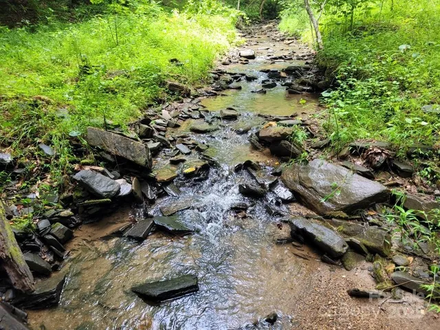 a view of outdoor space and trees