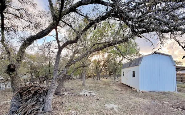 a view of a yard with a tree