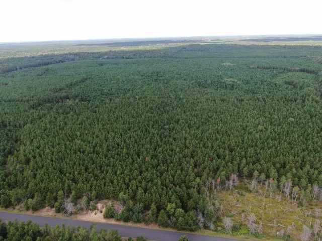 $200,000 | 40-ac 40-ac Buttercup Avenue, Arkdale, WI 54613