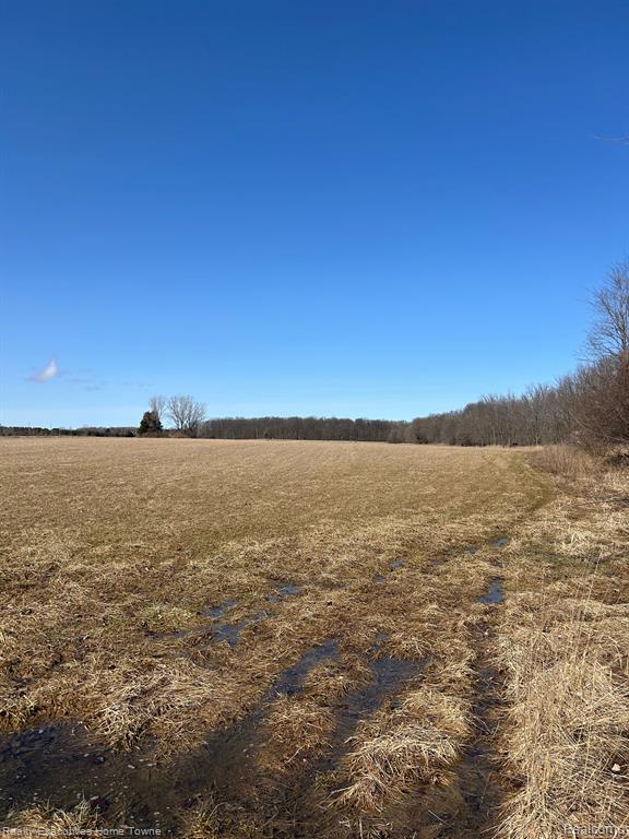 0 Jeddo Road Avoca, MI 48006 - Photo 2 of 2