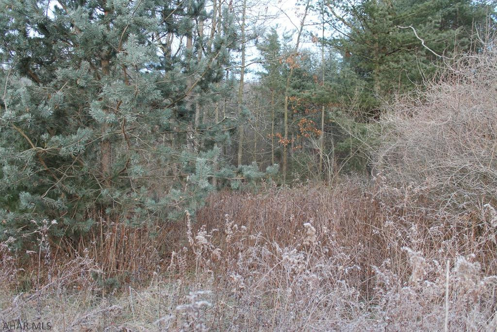 0 Lodge Road Crystal Spring, PA 15536 - Photo 29 of 54 Gallery Image 29