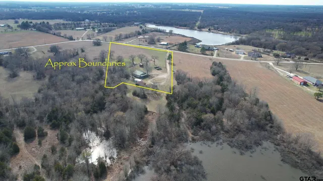 a view of a backyard with a tree