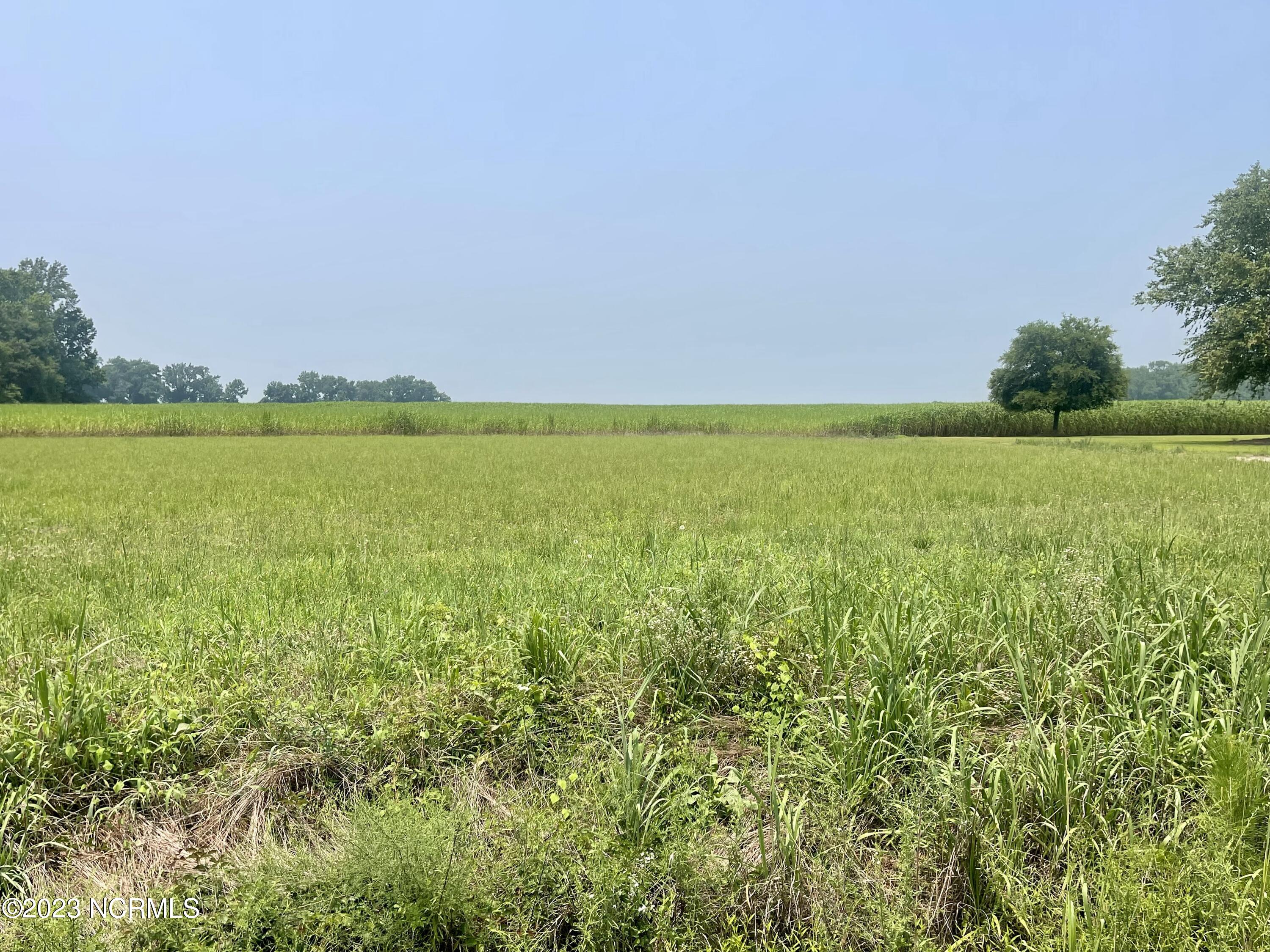 Lot 5 Lloyd Harrison Road Snow Hill, NC 28580 - Photo 1 of 1 Lot 5