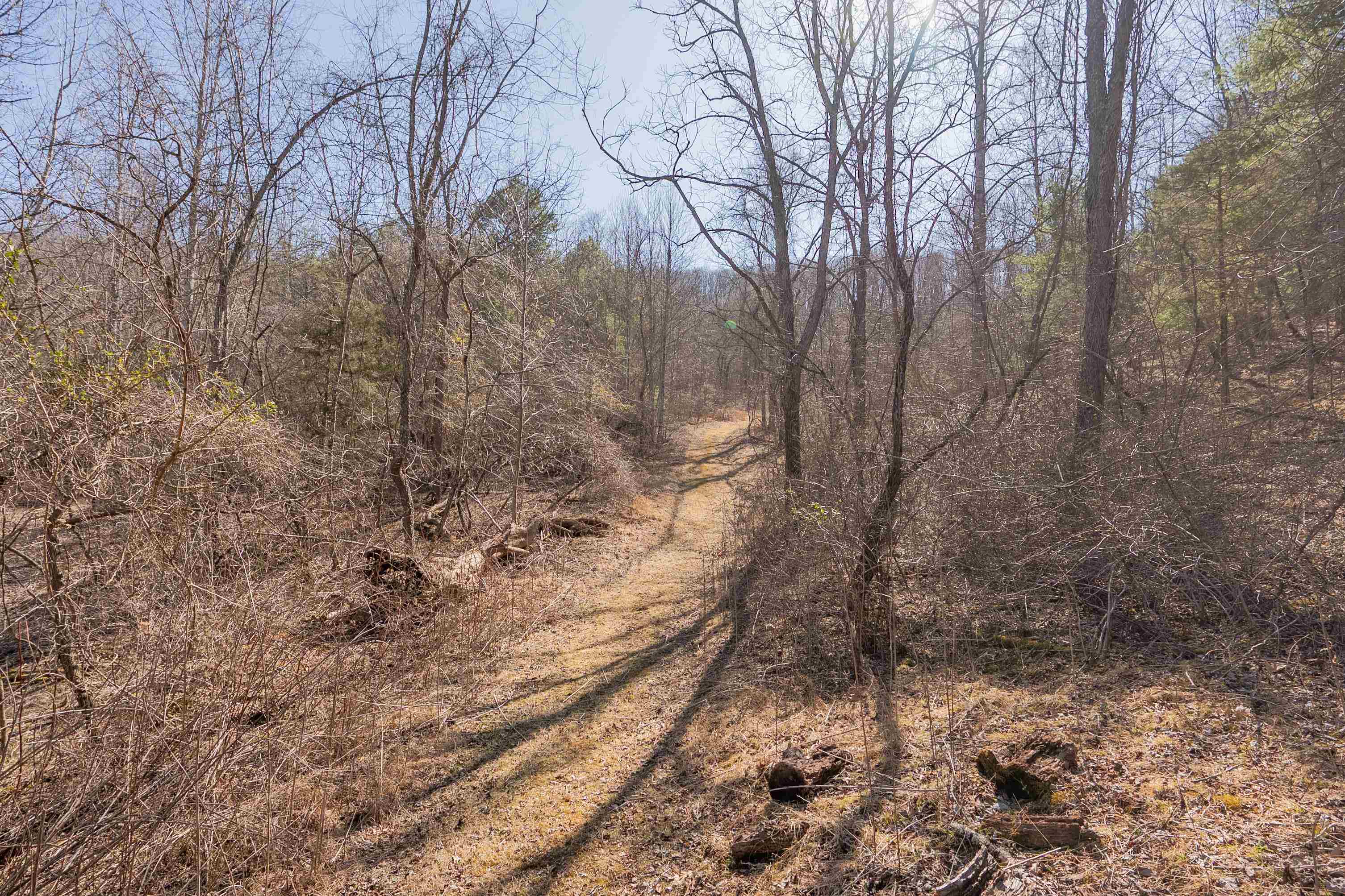 2161 Loafers Rest Road Austinville, VA 24312 - Photo 65 of 94 Gallery Image 65