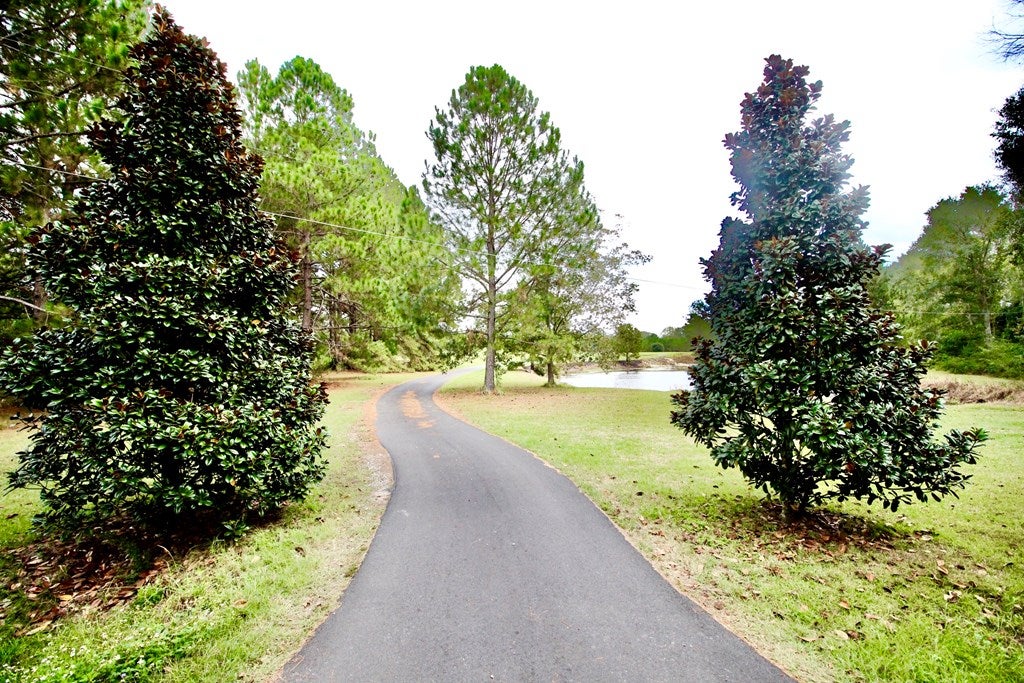 7690 Union Road Hahira, GA 31632 - Photo 2 of 75 Gallery Image 2