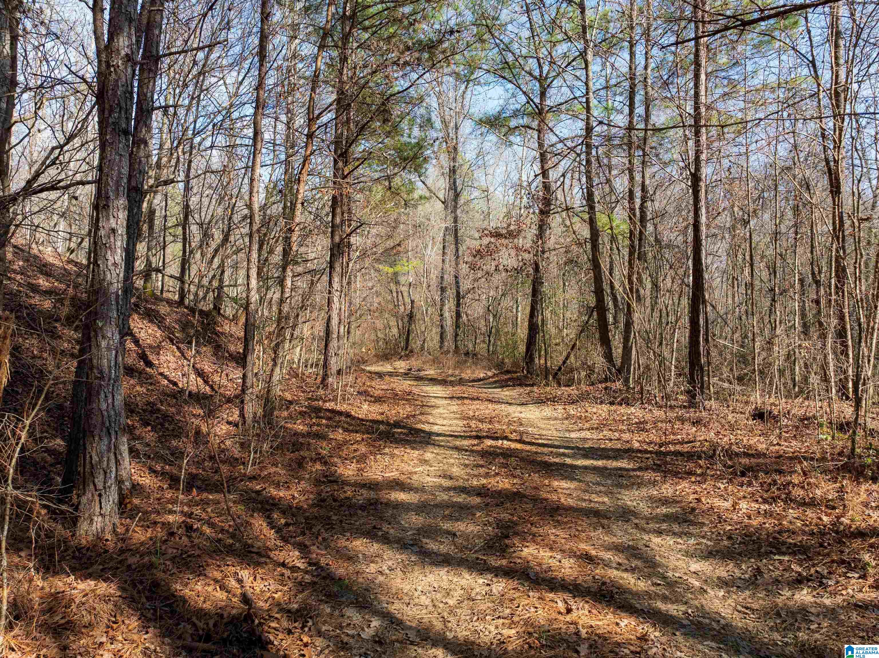 0 Red Hill Road, Unit 15 Oakman, AL 35579 - Photo 8 of 14