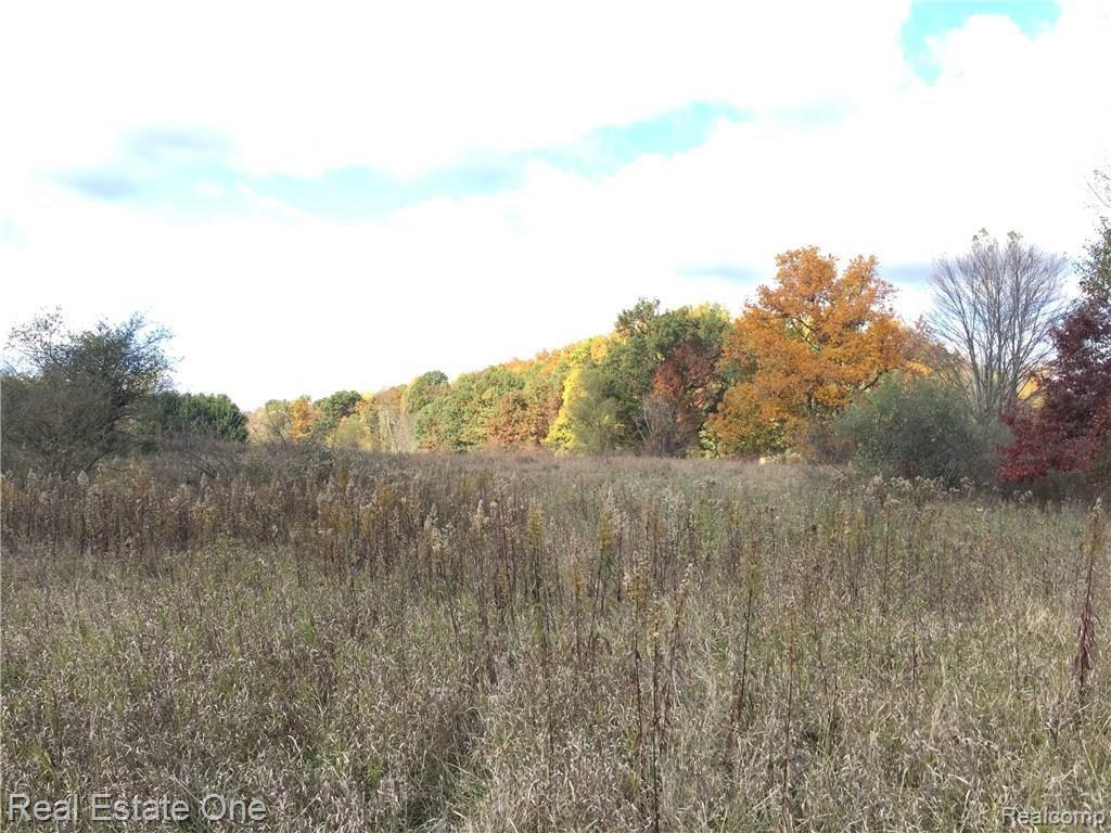 11093 Rattalee Lake Road Davisburg, MI 48350 - Photo 5 of 20