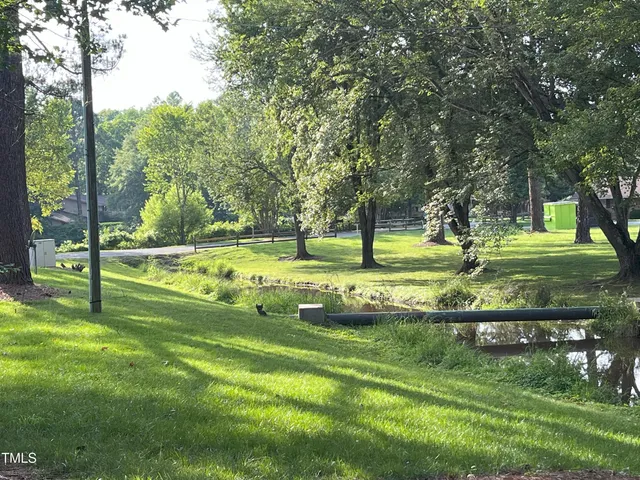 a view of a park with large trees
