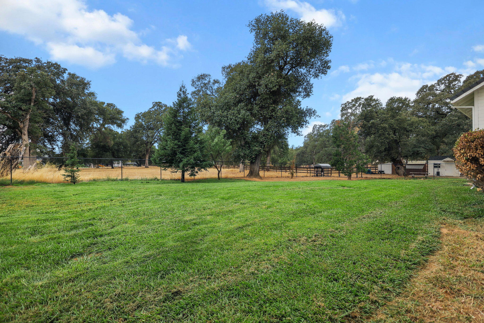 19375 Gas Point Road Cottonwood, CA 96022 - Photo 49 of 76 56-web-or-mls-_K3A0771