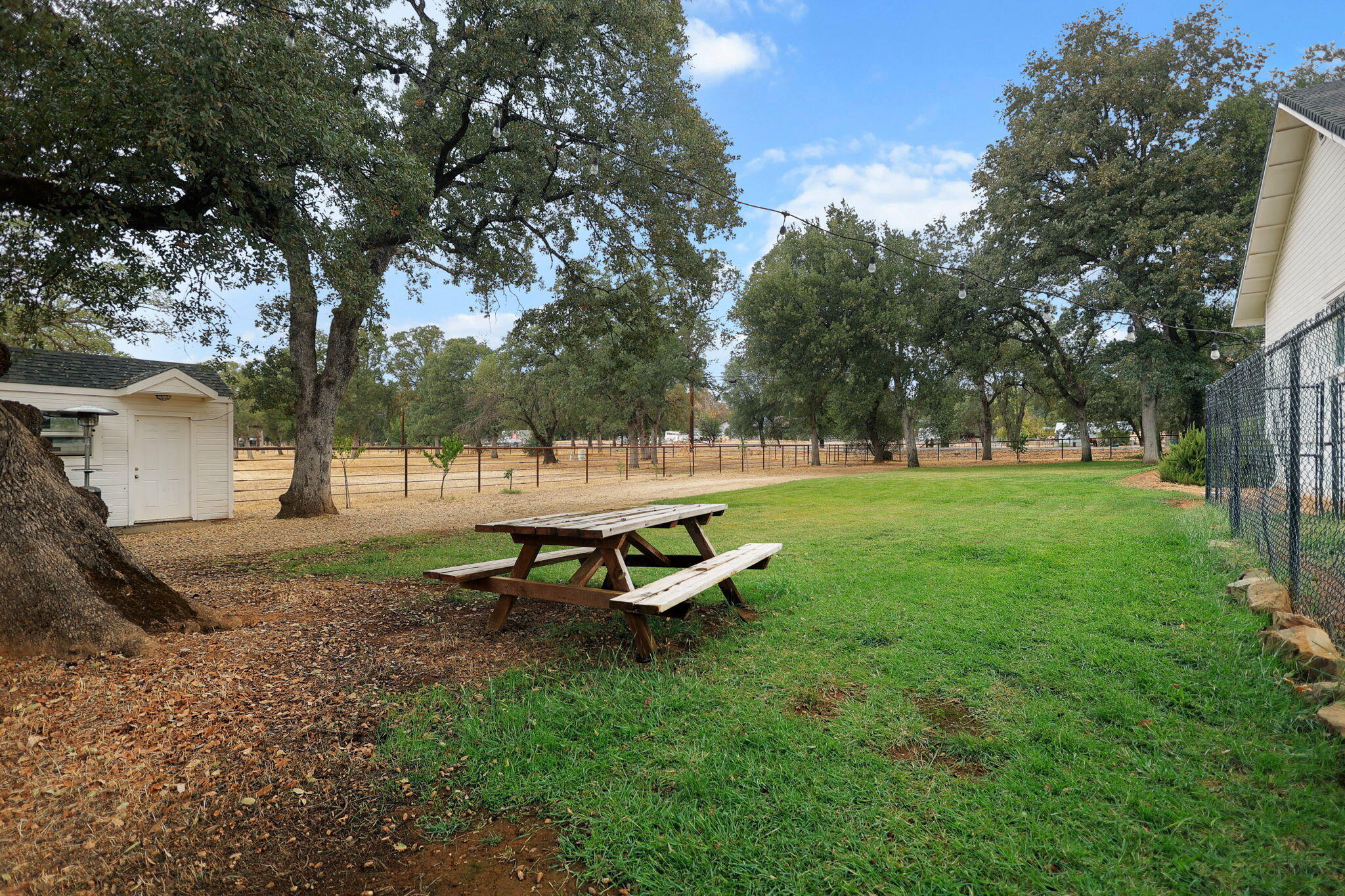 19375 Gas Point Road Cottonwood, CA 96022 - Photo 55 of 76 64-web-or-mls-_K3A0813