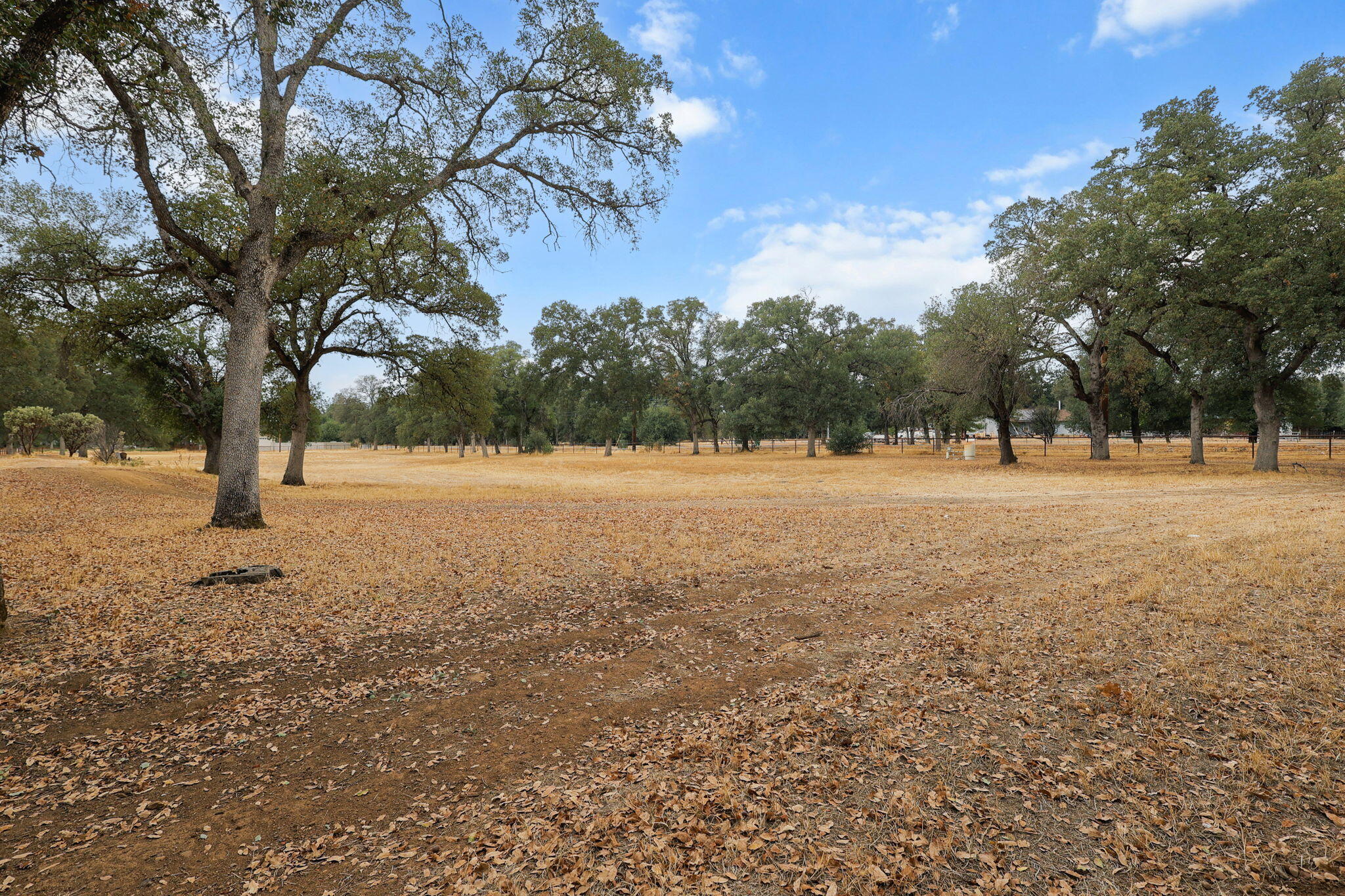 19375 Gas Point Road Cottonwood, CA 96022 - Photo 59 of 76 68-web-or-mls-_K3A0831