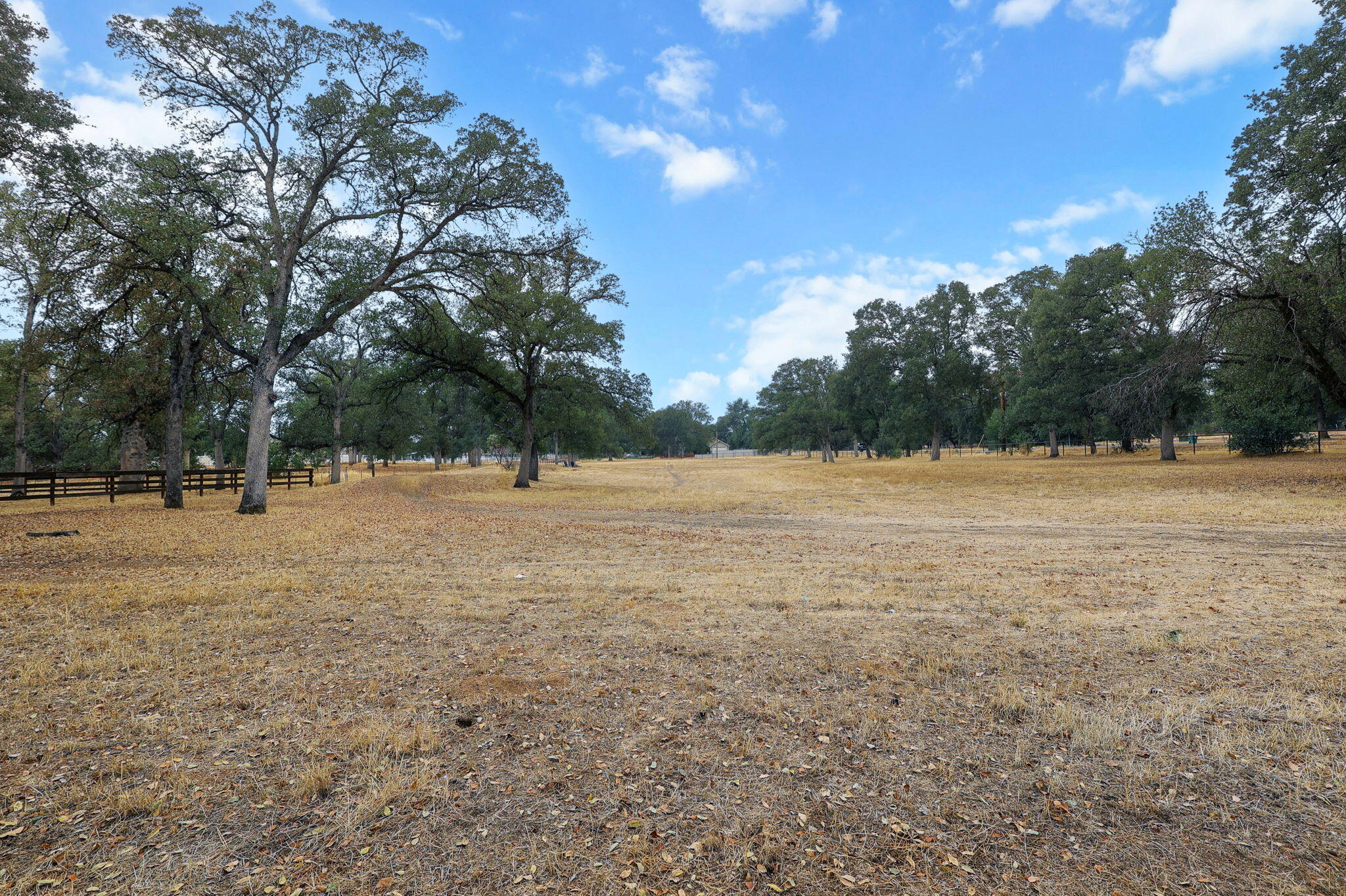 19375 Gas Point Road Cottonwood, CA 96022 - Photo 60 of 76 69-web-or-mls-_K3A0838