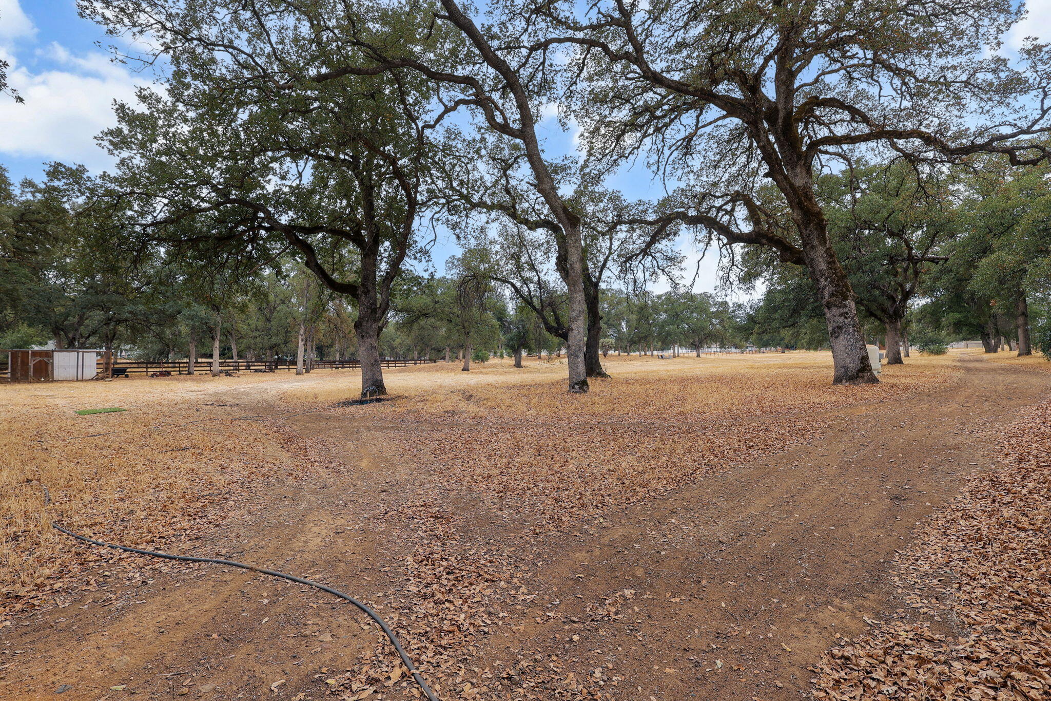 19375 Gas Point Road Cottonwood, CA 96022 - Photo 61 of 76 70-web-or-mls-_K3A0843