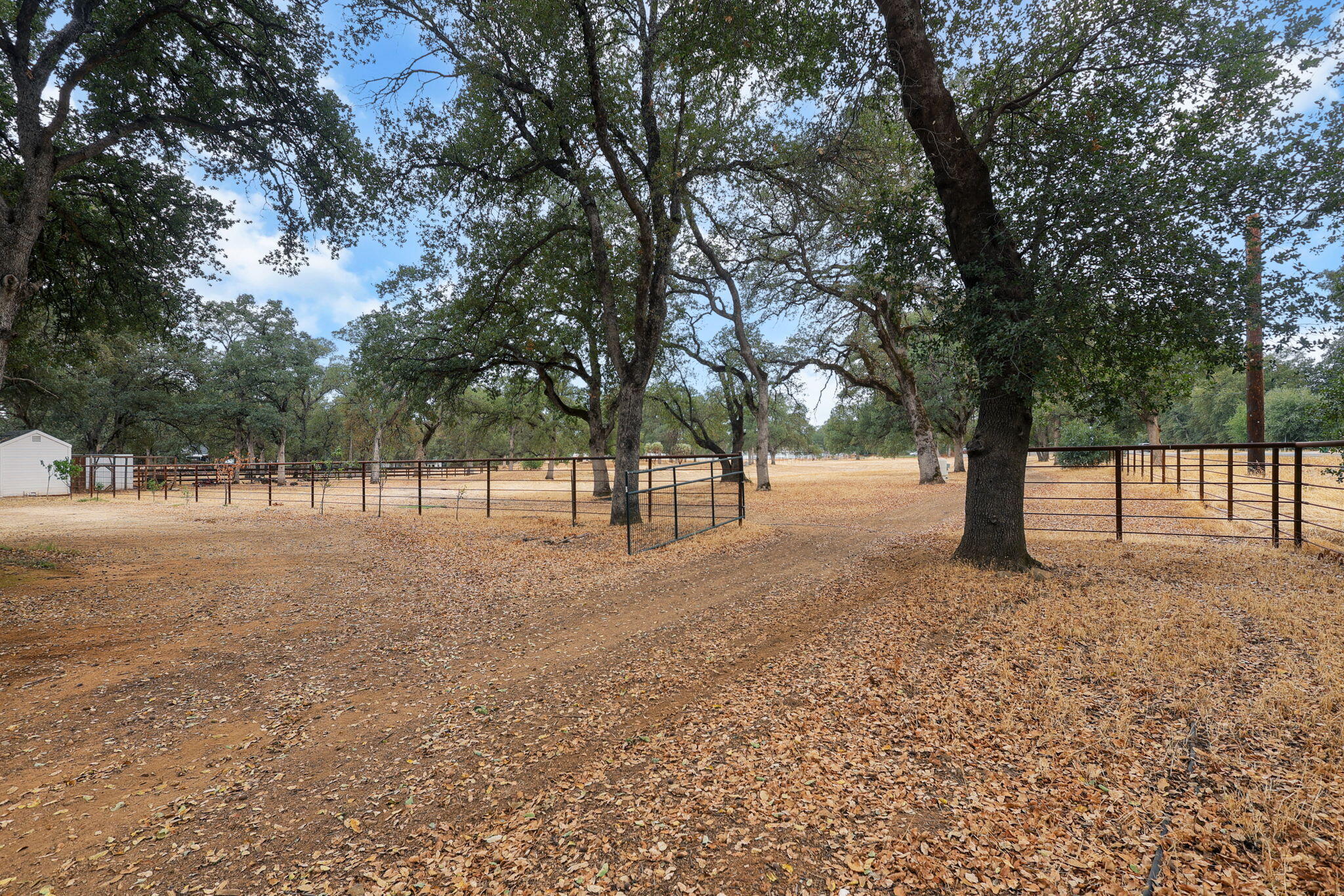 19375 Gas Point Road Cottonwood, CA 96022 - Photo 62 of 76 71-web-or-mls-_K3A0847