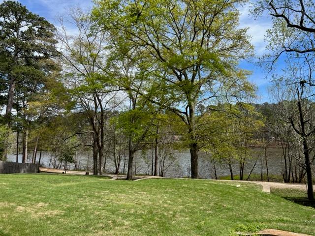 3636 Denewood Court Columbus, GA 31909 - Photo 23 of 26 a big yard with tree s