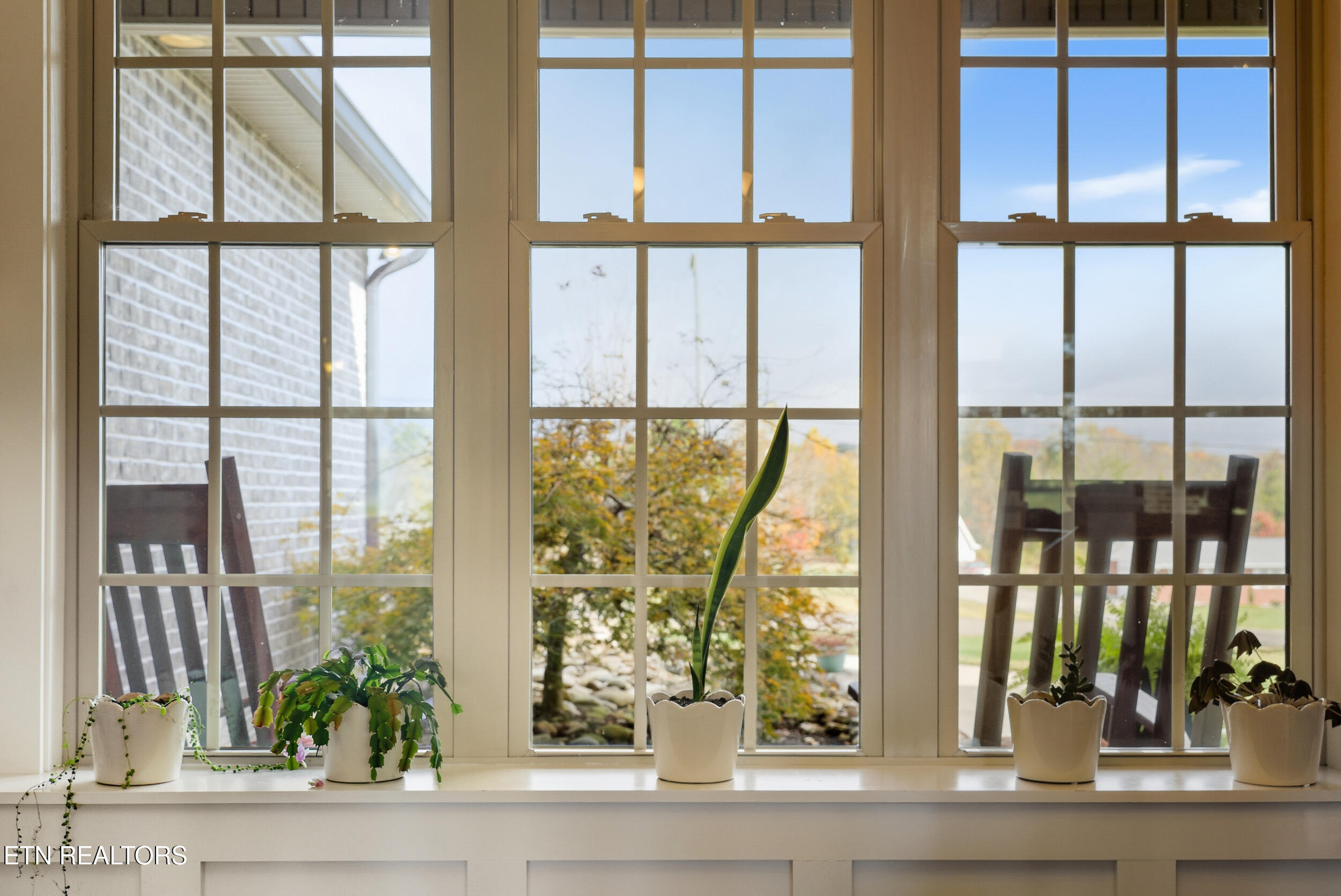 8612 North Ruggles Ferry Pike Strawberry Plains, TN 37871 - Photo 15 of 36 detail_004