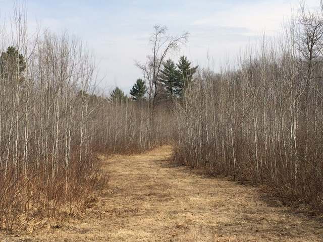 Off Off Lakewood Road Hazelhurst, WI 54531 - Photo 6 of 17 Gallery Image 6