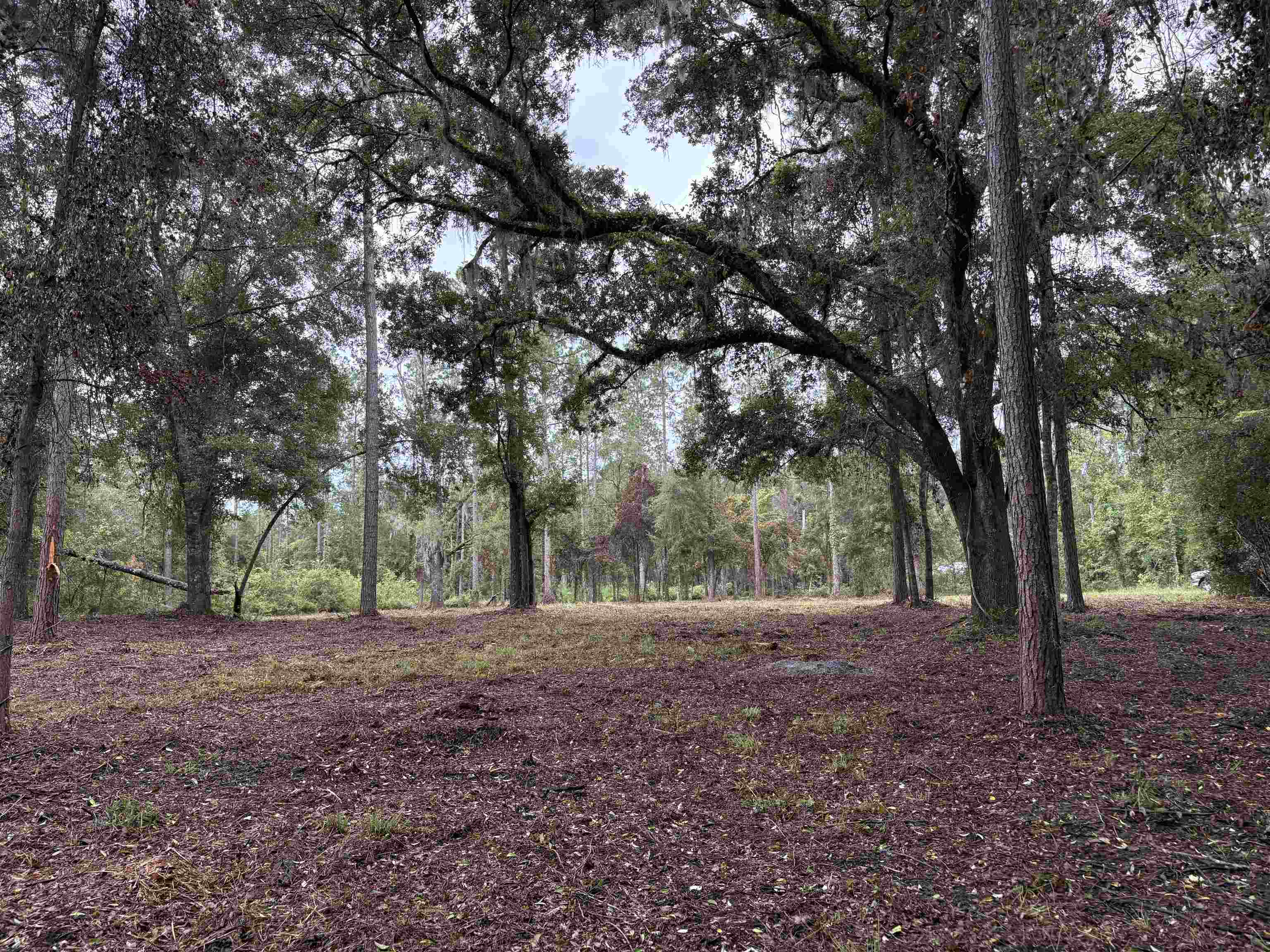 0 Walker Springs Road Monticello, FL 32344 - Photo 18 of 21 Gallery Image 18