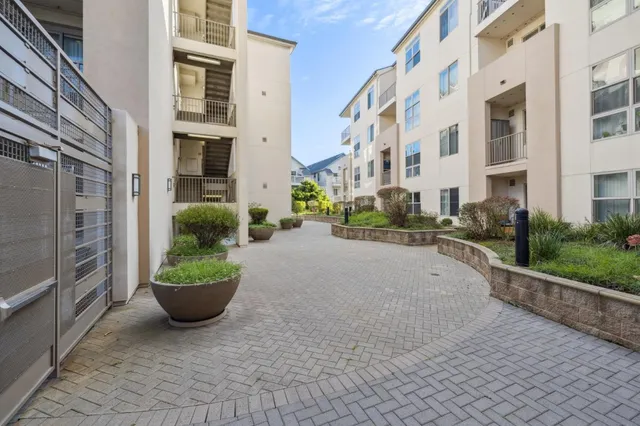 a view of a building with potted plants