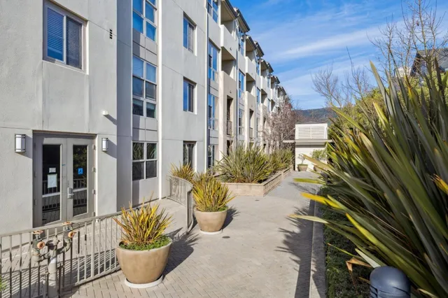 a view of a potted plants in front of a building