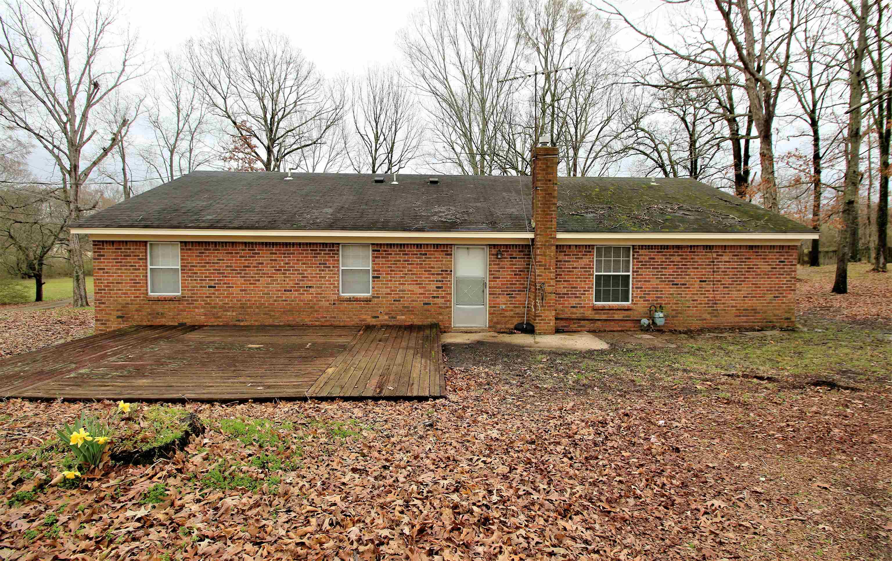 5705 Hacks Cross Road Olive Branch, MS 38654 - Photo 19 of 21 Gallery Image 19