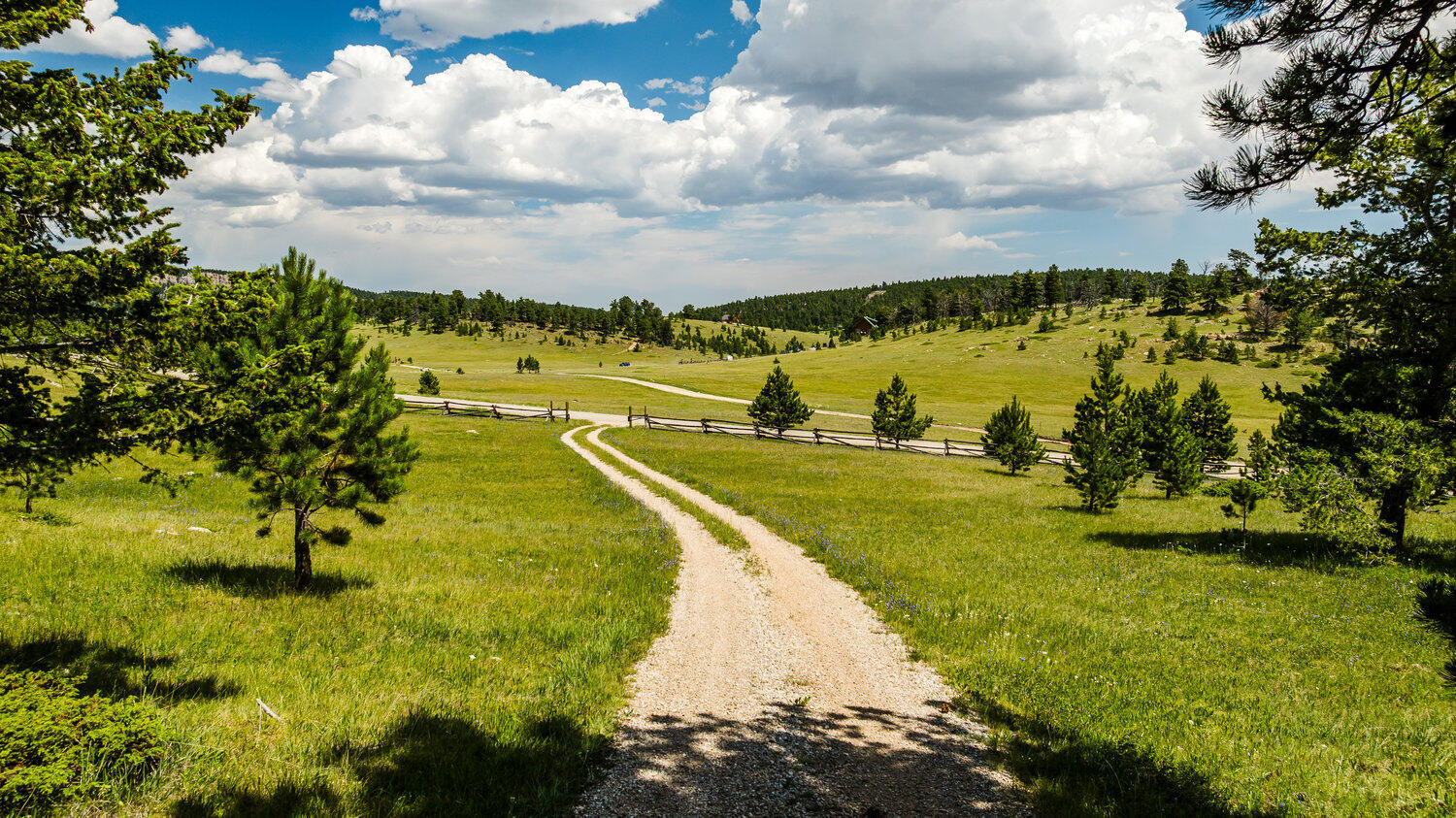 596 Billy Creek Road Buffalo, WY 82834 - Photo 44 of 51 48