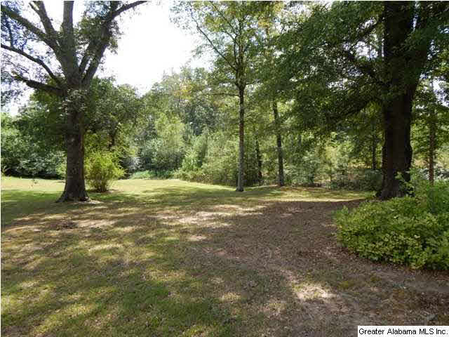 1359 Morris Majestic Road Morris, AL 35116 - Photo 6 of 14