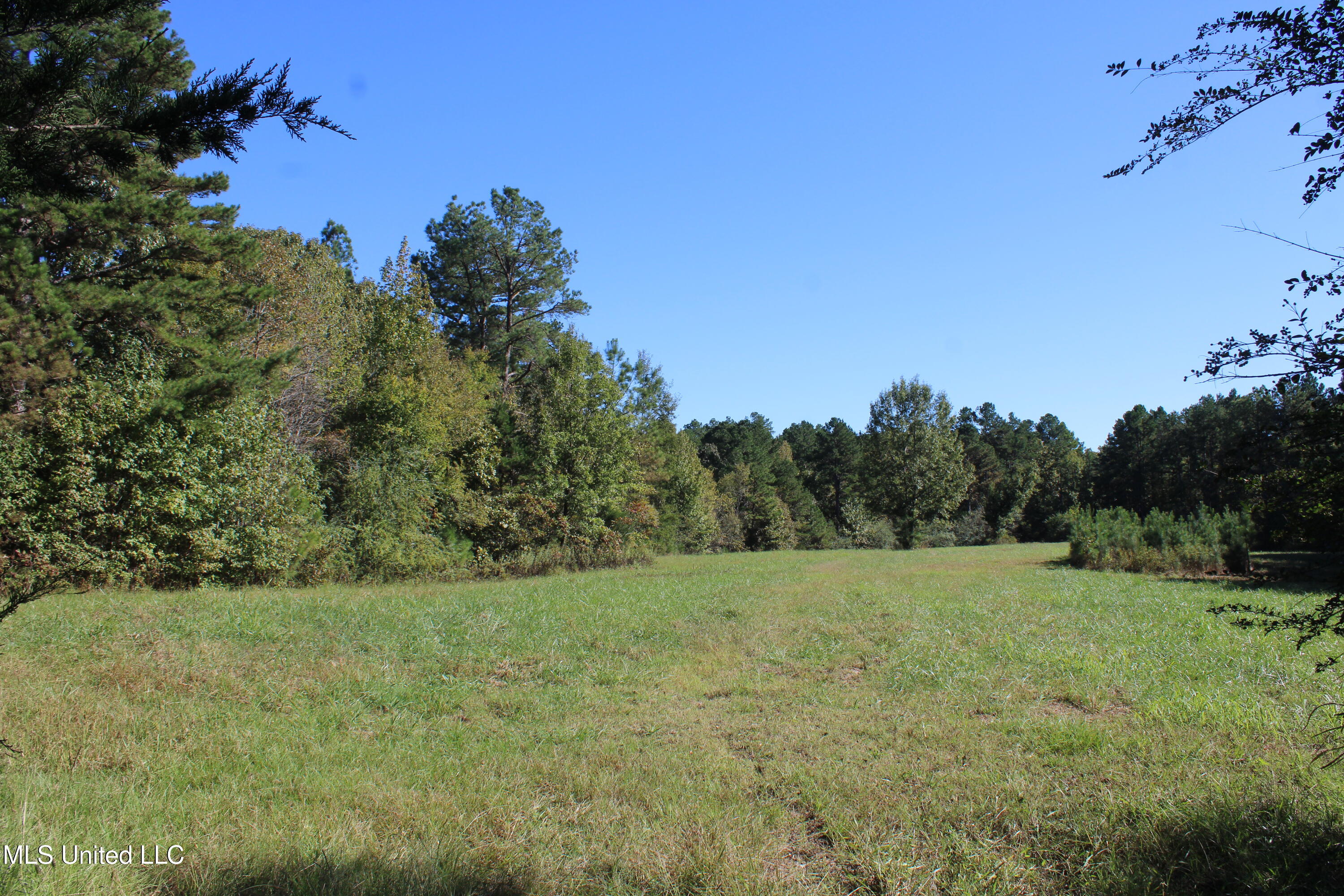 1505 Lower Gurley Road Potts Camp, MS 38659 - Photo 11 of 52 IMG_4786