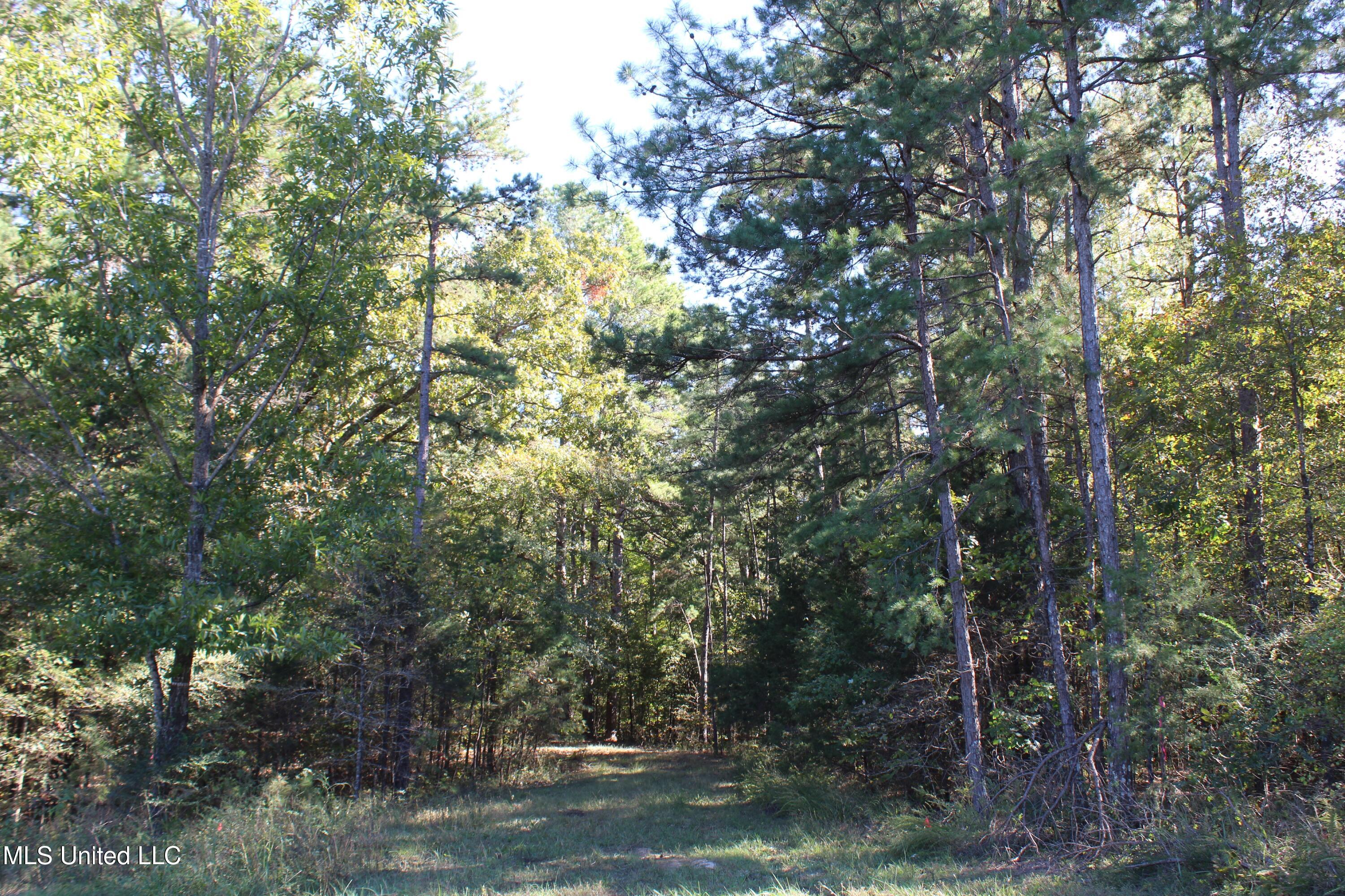1505 Lower Gurley Road Potts Camp, MS 38659 - Photo 18 of 52 IMG_4793