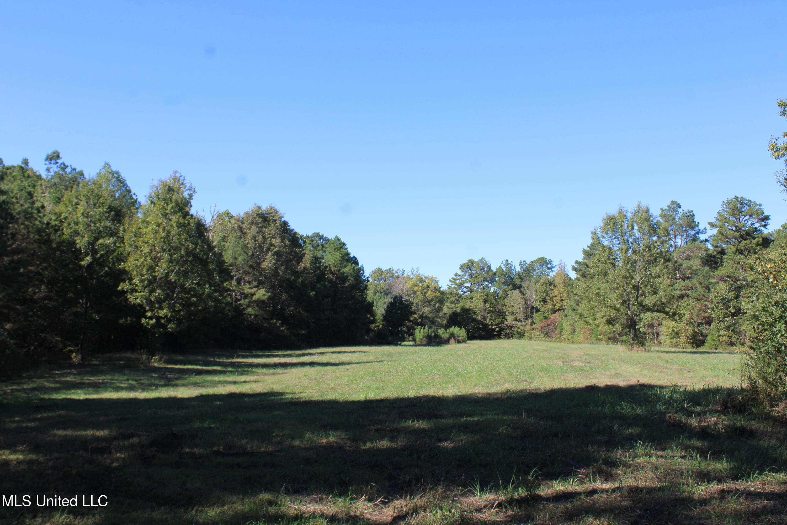 1505 Lower Gurley Road Potts Camp, MS 38659 - Photo 19 of 52 IMG_4794