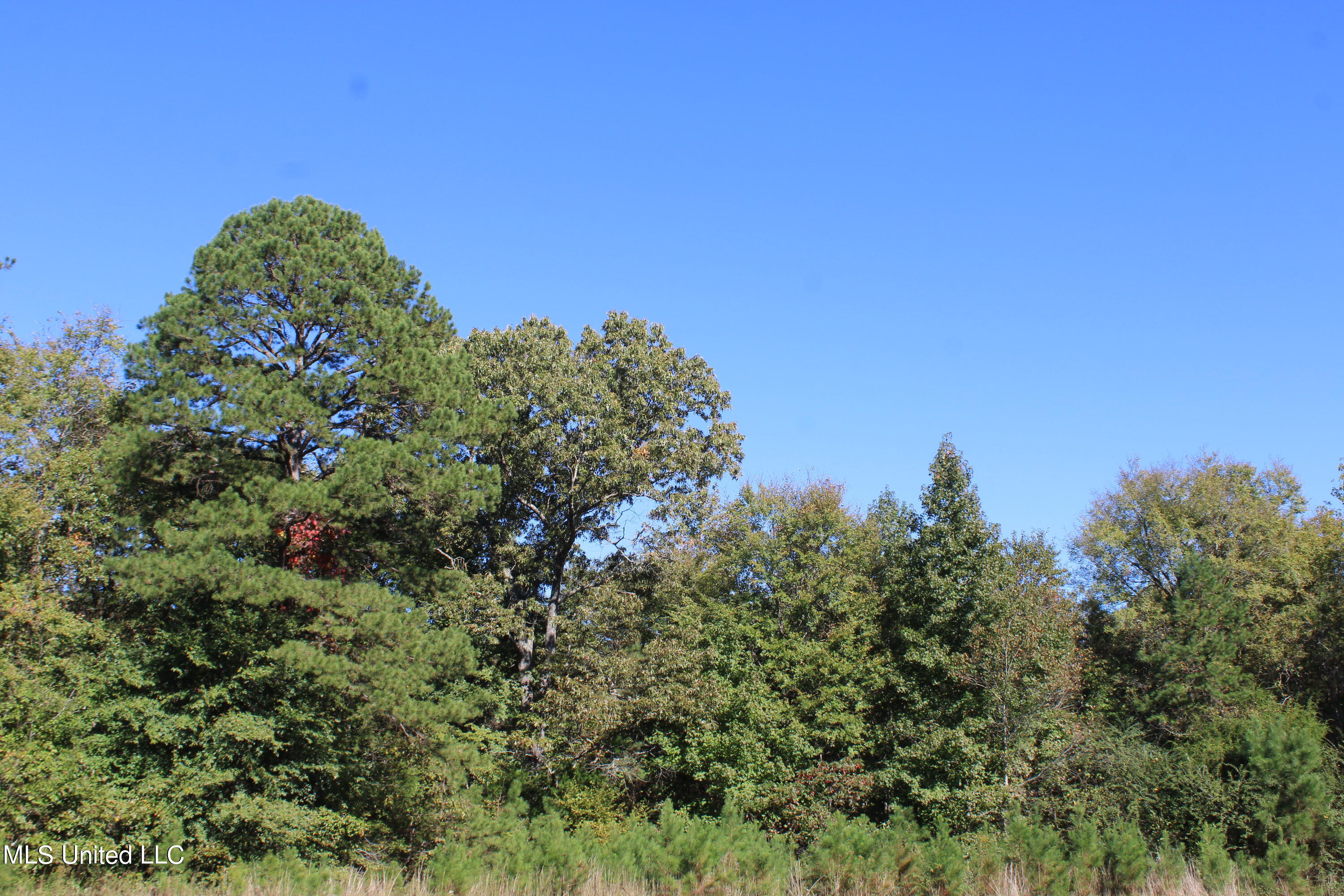 1505 Lower Gurley Road Potts Camp, MS 38659 - Photo 25 of 52 IMG_4800