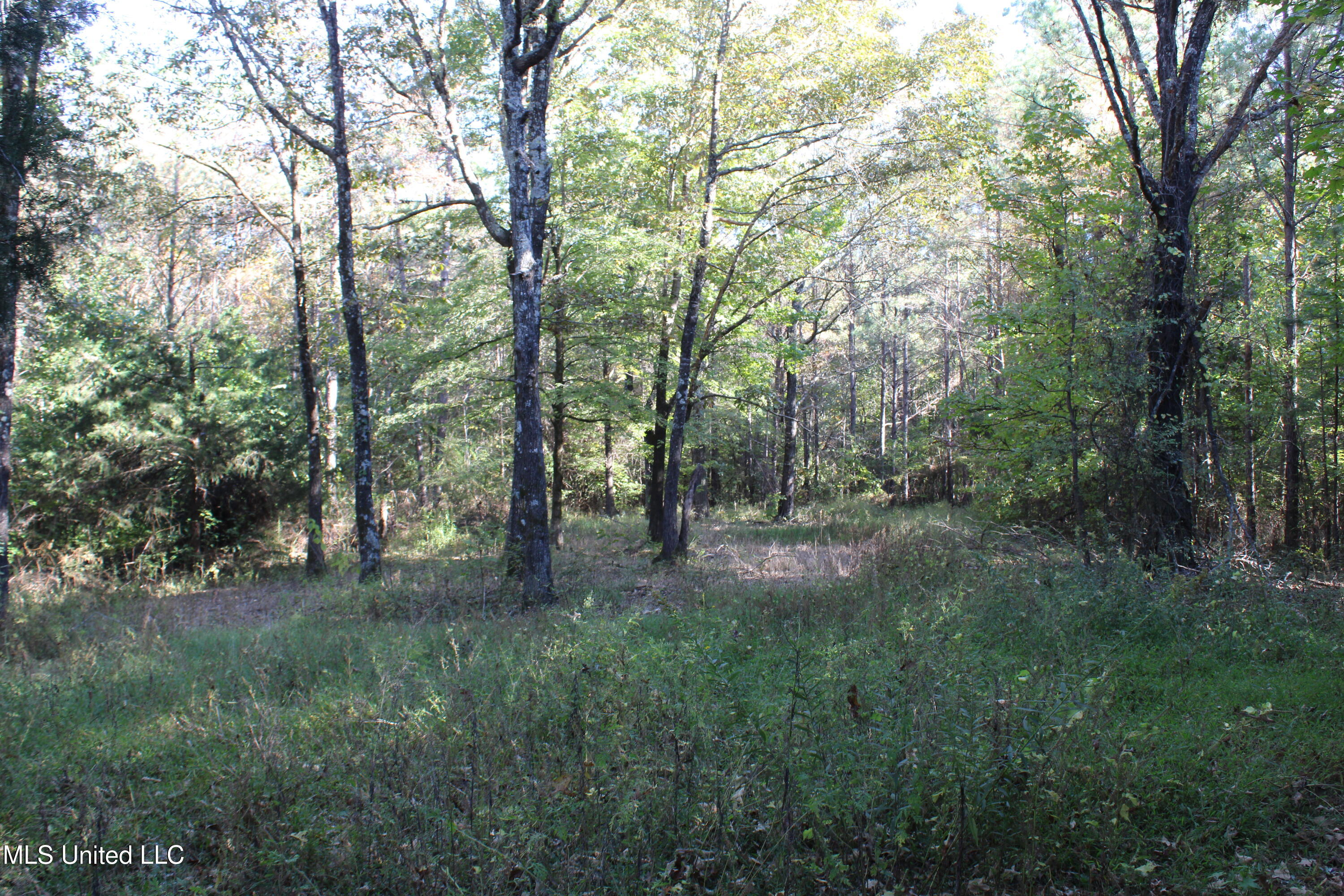 1505 Lower Gurley Road Potts Camp, MS 38659 - Photo 52 of 52 IMG_4828