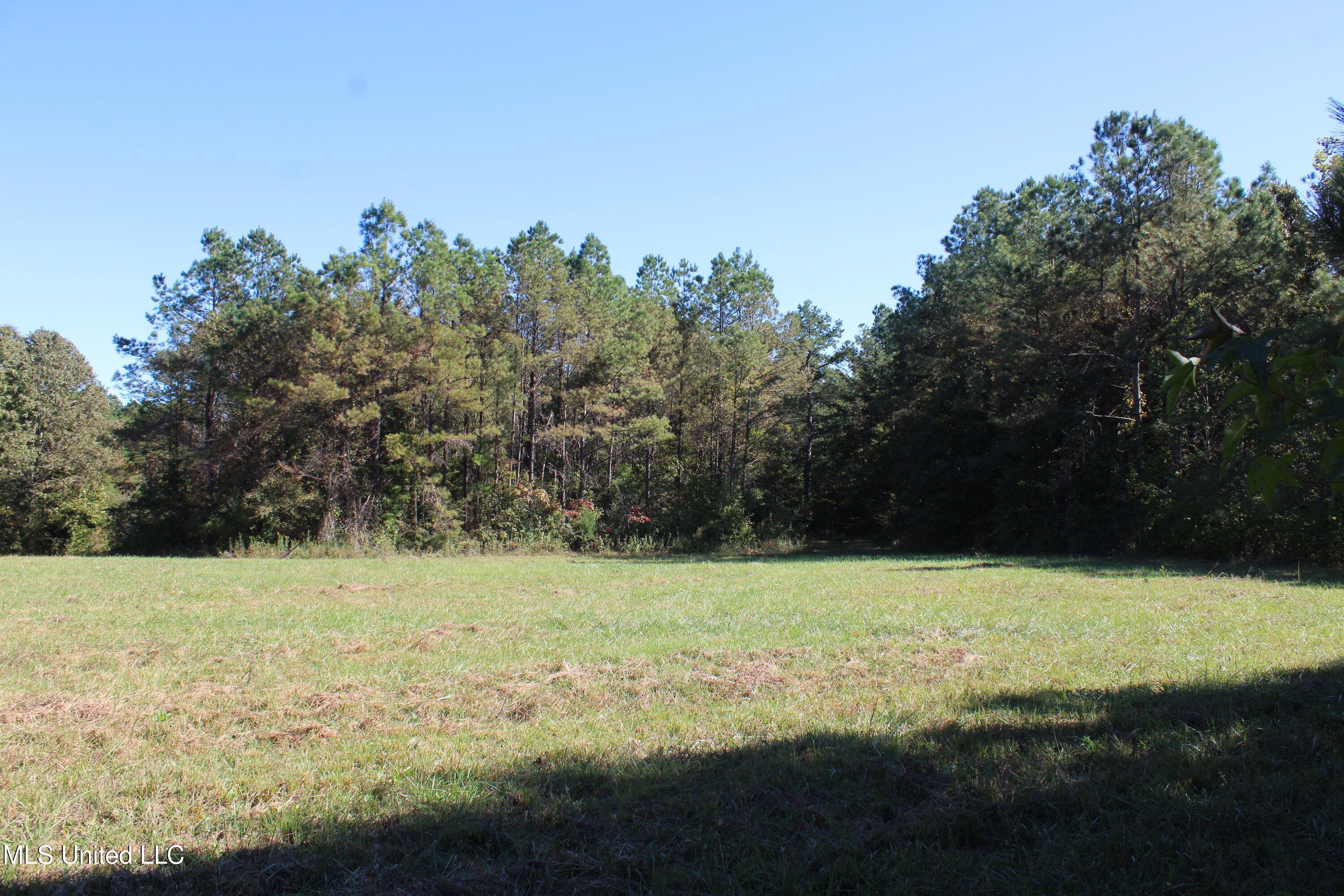 1505 Lower Gurley Road Potts Camp, MS 38659 - Photo 9 of 52 IMG_4784