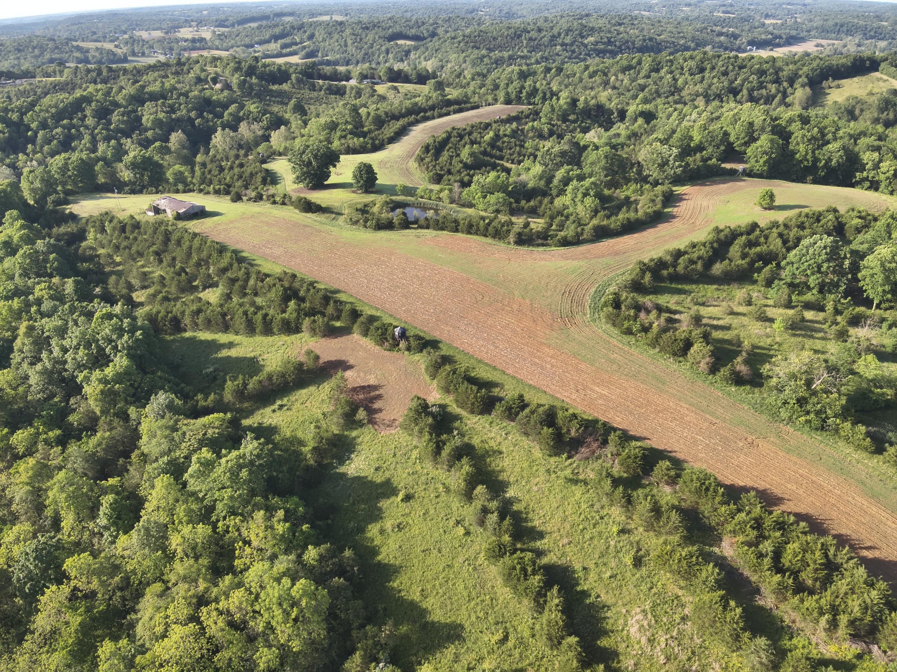 0 Mann Road Mount Olivet, KY 41064 - Photo 2 of 46