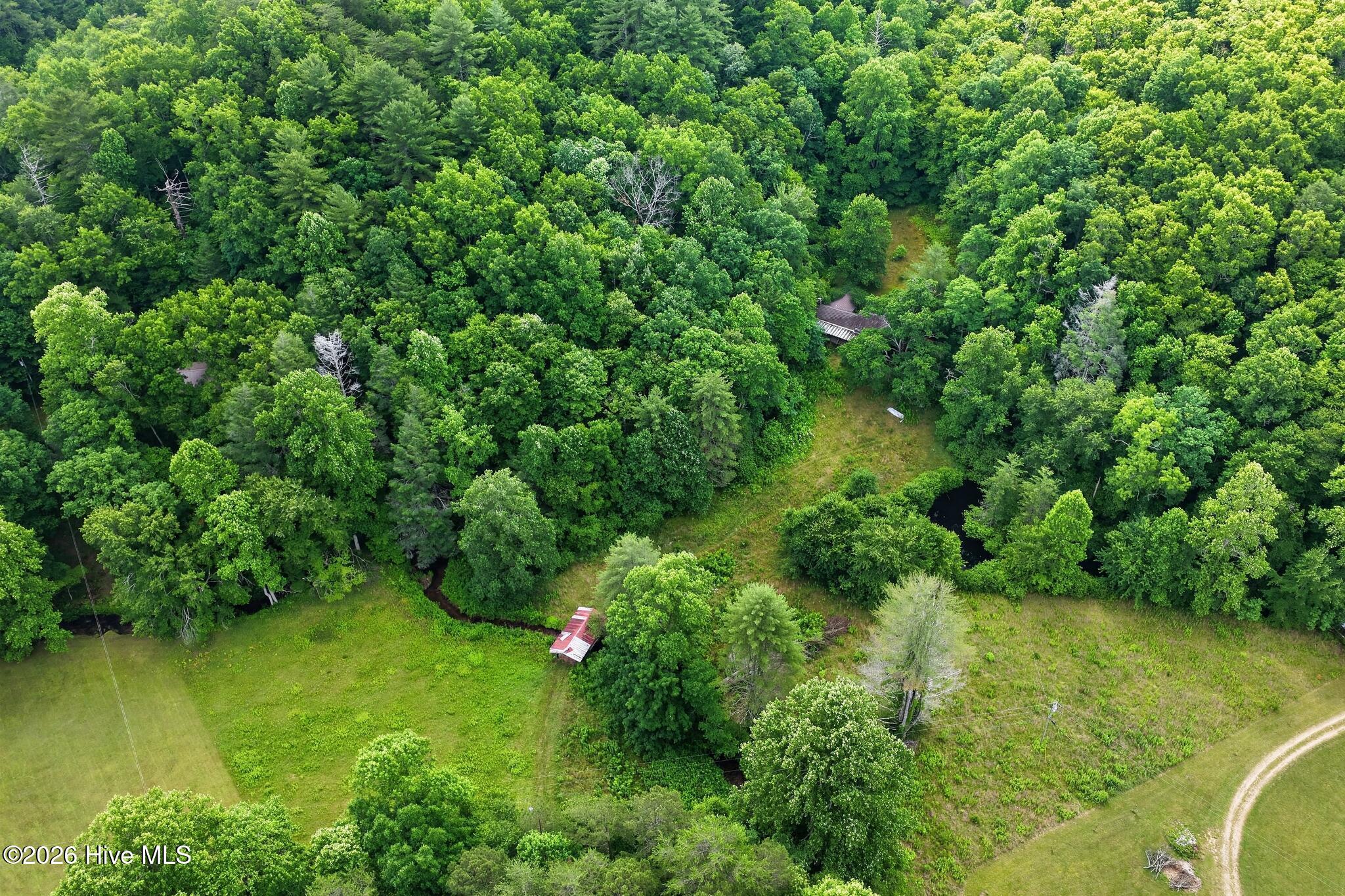 1881 Shoal Creek Road Murphy, NC 28906 - Photo 3 of 18