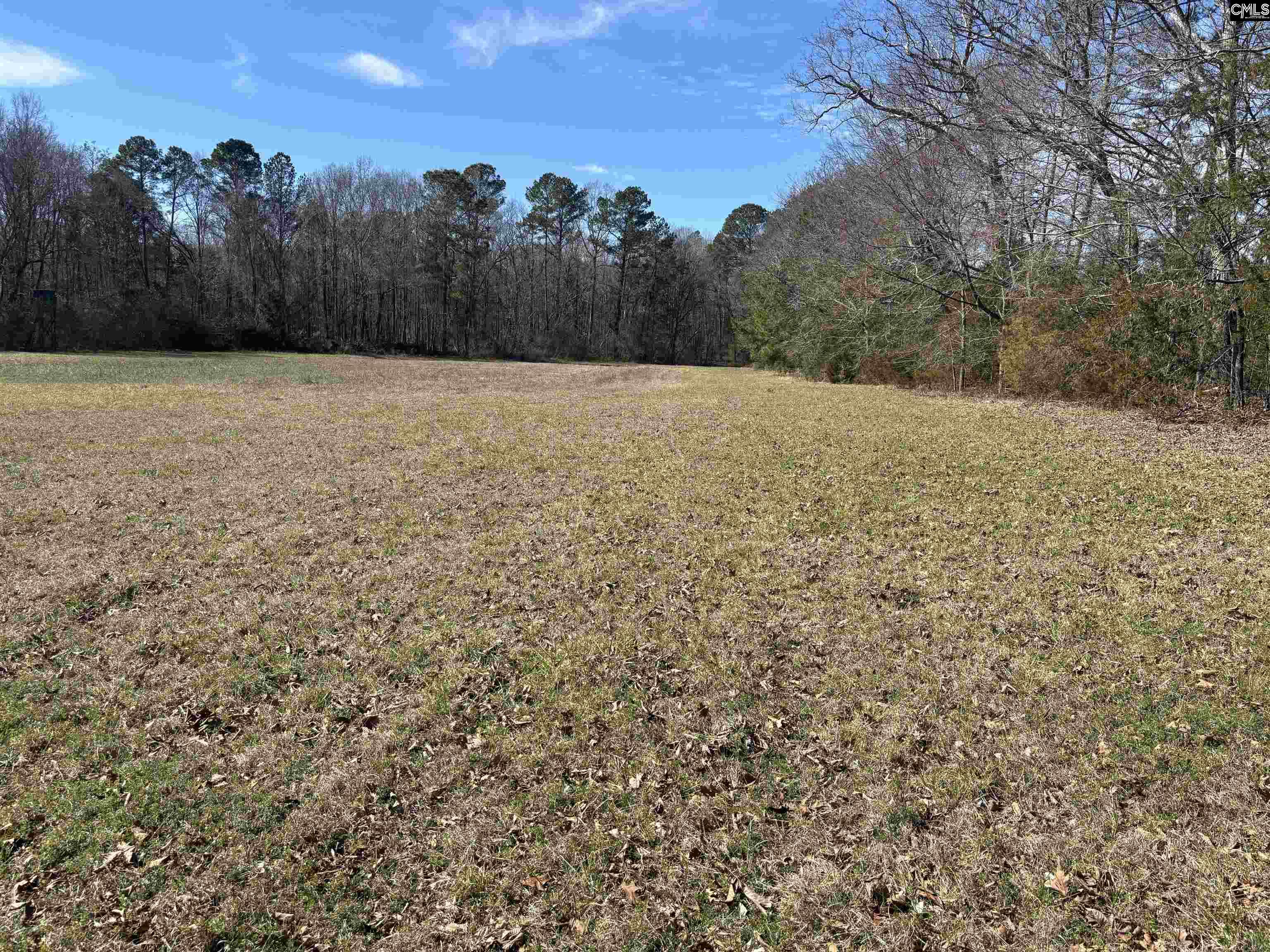 0 Bethany Road Saluda, SC 29138 - Photo 19 of 24